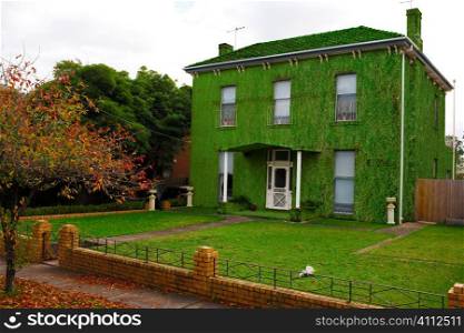 A stock photograph of a houseliterallycovered in grass, a greener lifestyle.