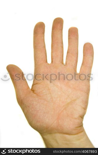 A stock photograph of a man&acute;s hand.