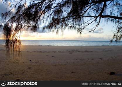 A stock photograph of sunrise on a deserted beach in Cape Tribulation, Northern Queensland, Australia.
