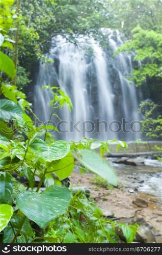 A stock photograph of waterfall in a rain forrest.