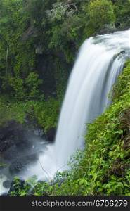 A stock photograph of waterfall in a rain forrest.