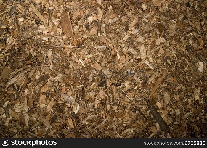 A stock photograph of woodchips creating an interesting texture.