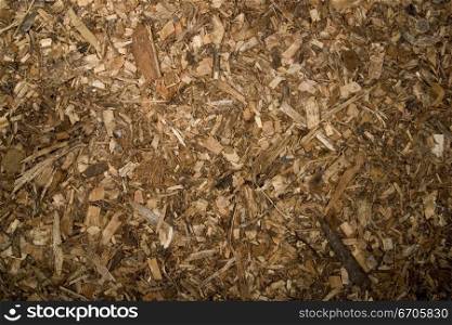 A stock photograph of woodchips creating an interesting texture.