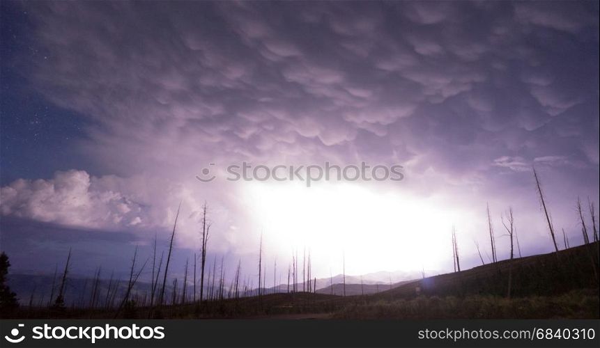 A storm passes thru quickly near Chittenden Road in Yellowstone revealing previously burned trees from lightning strikes