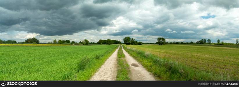 A straight path through the fields and clouds to the sky, Nowiny, Lubelskie, Poland