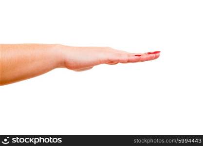 A straightened isolated hand
