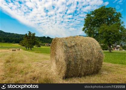 a straw bale in the field, the mountain in the background