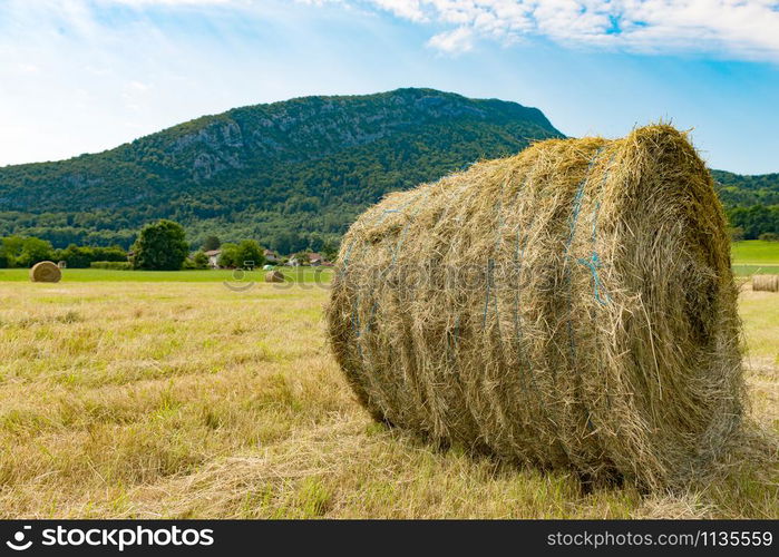 a straw bale in the field, the mountain in the background