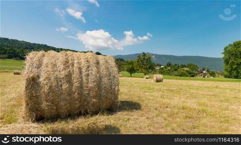a straw bale in the field, the mountain in the background