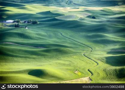 A streambed flows around the wheat fields and hills of the farmland in the Palouse area of Eastern Washington and leads to a farm house in the upper left.