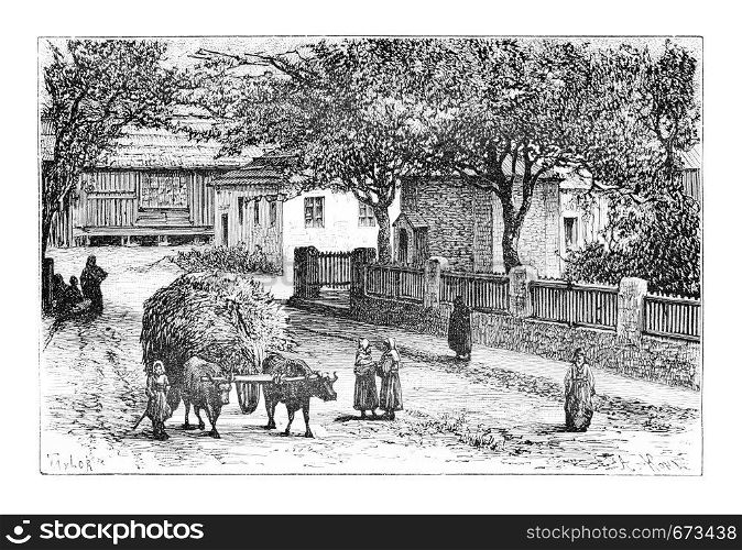 A Street in Zugdidi, Georgia, drawing by Taylor based on a photograph by Ermakoft, vintage illustration. Le Tour du Monde, Travel Journal, 1881