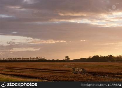 A stubble field glowing in an autumn sunset