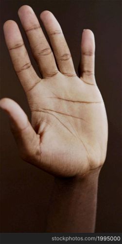 A studio photo of the palm of a hand