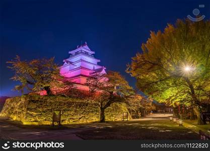 A stunning night scene of full bloom of ginkgo blossom at Tsuruga-jo castle, light up at night time. Aizu Wakamatsu, Fukushima Japan.