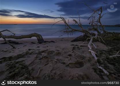 A stunning sunrise from a beach with an old tree trunk in the foreground