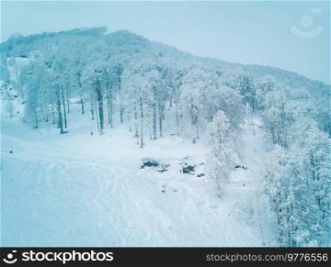 A stunning winter alpine snow scene landscape. Mountain forest in snow after a fresh snow fall. Mountain winter forest in snow
