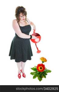 A successful gardener, dressed in pinup style, fertilizing a healthy, enormous gerbera daisy! Shot on white background.