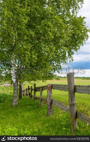 A summer landscape with birch and wooden picket fence with a beautiful cloudy sky.