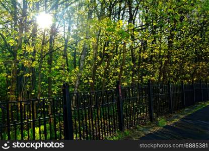 a Sunny day in a Moscow Park in spring, district Teply Stan
