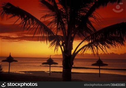 a sunset on a beach on the island of Mauritius in the indian ocean. INDIAN OCEAN MAURITIUS BEACH SUNSET