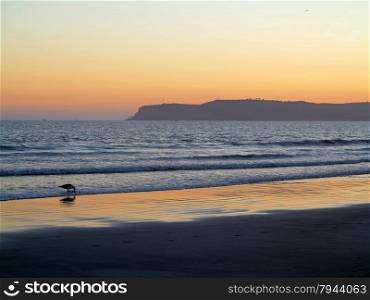 A sunset over the ocean with a seagull