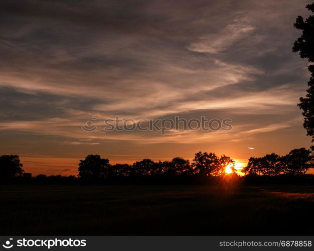 a sunset scene outside in a farm field of green crop and a golden hue and wonderful vibrant colors that are serene natural and peacefully stunning