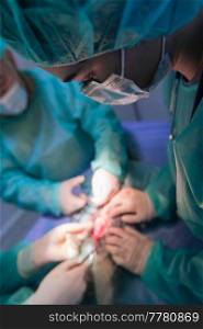 A surgeon and veterinarians team performing castration or sterilization operation on a cat in an animal hospital. High quality photo. A surgeon and veterinarians team performing castration or sterilization operation on a cat in an animal hospital. 