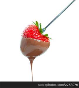 A sweet ripe strawberry dripping with warm milk chocolate. Shot on white background.