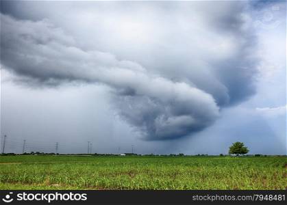 A swirling storm cloud spins in a circle over a corn field in central Illinois.