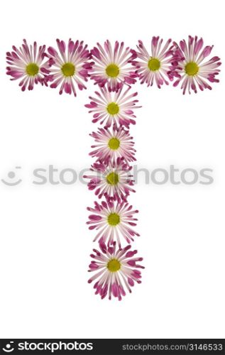 A T Made Of Pink And White Daisies