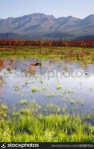 A tarn or lake just off Highway 2 reflects the Alaska mountain landscape