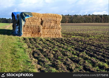 A tarpaulin protects the straw on a field pasture in Hoenderloo, The Netherlands.