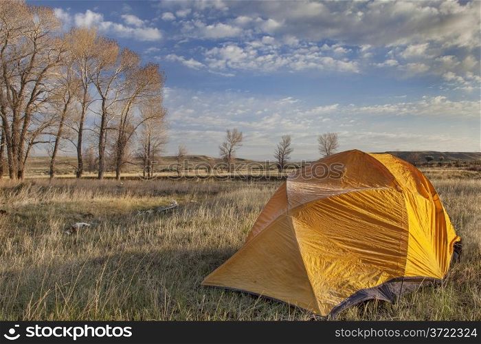 a tent covered by frost in early morning next to stand of cottonwood in North Platte River valley in Wyoming