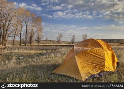 a tent covered by frost in early morning next to stand of cottonwood in North Platte River valley in Wyoming