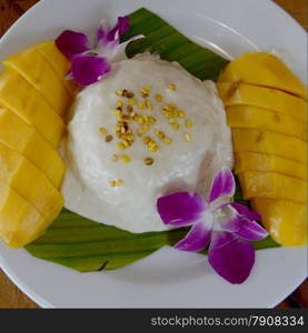 a Thai desert rice with mango in a restaurant at the Hat Railay Leh Beach at Railay near Ao Nang outside of the City of Krabi on the Andaman Sea in the south of Thailand. . THAILAND