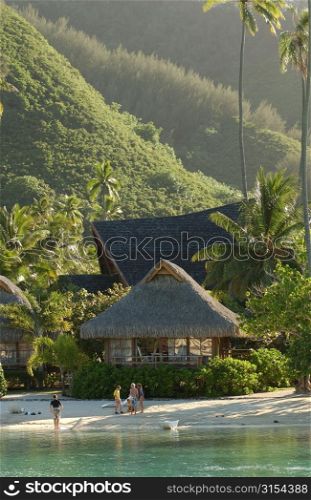 A thatched house on a beach, Moorea, Tahiti, French Polynesia, South Pacific