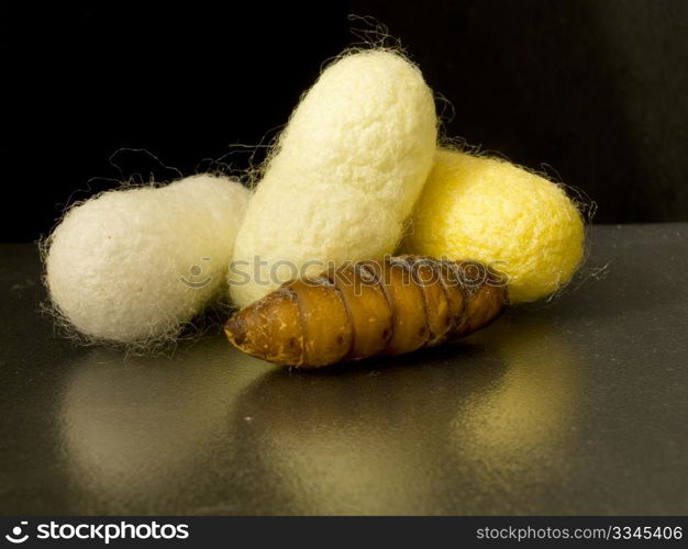 a three chrysalis silkworm cocoons and black background