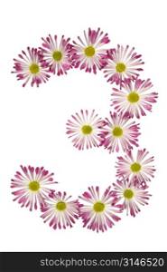 A Three Made Of Pink And White Daisies
