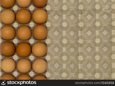 A top view of a hen&rsquo;s egg in a panel