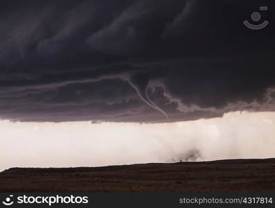 A tornado touches down with a tree