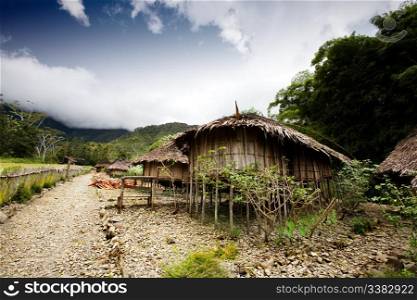 A traditional village hut in Papua, Indonesia