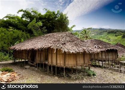 A traditional village hut in Papua, Indonesia