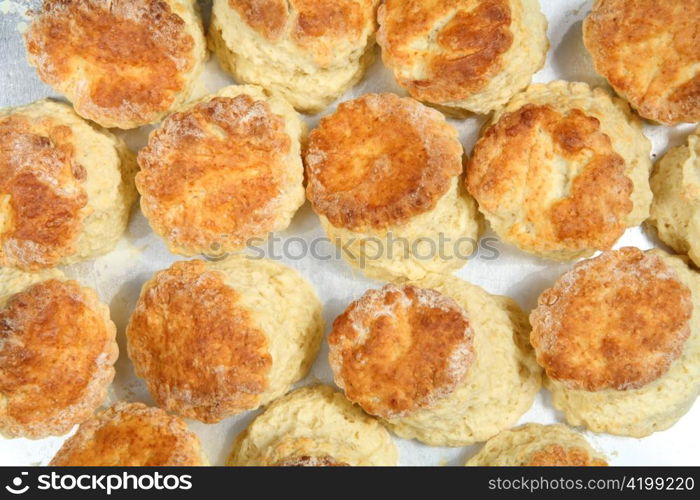 A tray of English traditional tea scones on a tray fresh from the oven, photographed from above