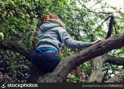 A trendy young woman is sitting in a tree