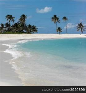 A tropical beach on Paradise Island in the Bahamas.