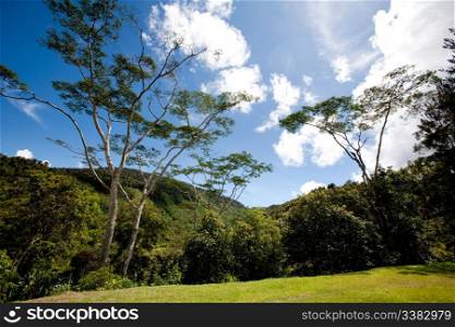 A tropical mountain landscape in Papua, Indonesia
