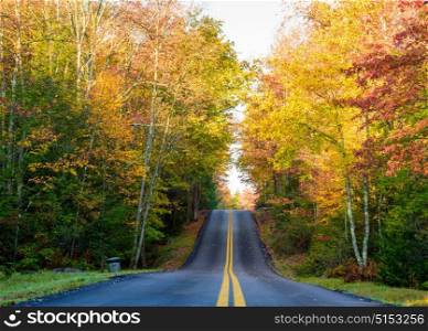 A two lane road through Blackwater Falls State Park during autumn