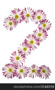 A Two Made Of Pink And White Daisies