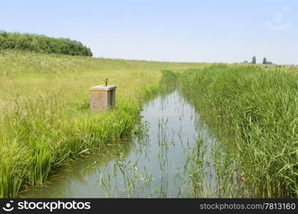 A typical Dutch Polder with a small, muddy, ditch and grazing cows on a nice summer afternoon