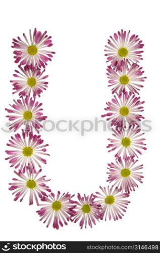 A U Made Of Pink And White Daisies